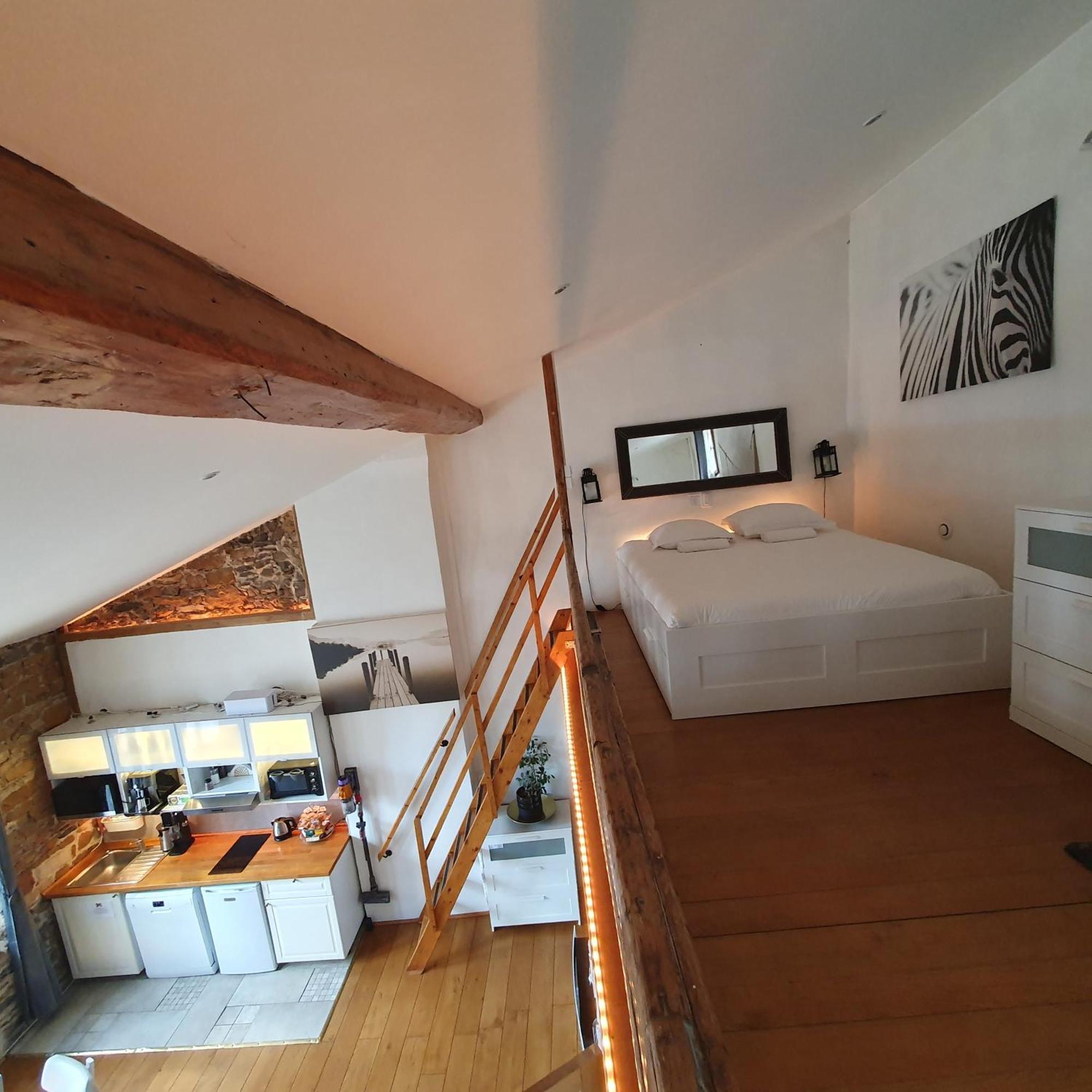 La Loge Du Vieux Lyon Bed and Breakfast Eksteriør billede